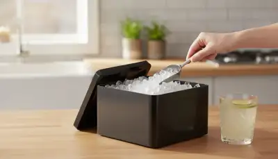 Eiswürfelbox Ersatzteil: Wenn der Vorrat stockt